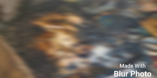 କାନକା ଗ୍ରାମରେ ଘରପୋଡି, ଜଳିଗଲା ଦୁଇ ଭାଇ ଙ୍କ ଚାରି ବଖରା ଘର