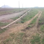 Read more about the article ଅସହ୍ୟ ତାତିରୁ ମିଳୁନି ଆଶ୍ବସ୍ତି : ଚିନ୍ତାରେ ଚାଷୀ, ଓ ବୟବୃଦ୍ଧ ବ୍ୟକ୍ତି |