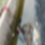 Read more about the article ତାରାତାରିଣୀ ଛକ ଶିବ ମନ୍ଦିର ପାଖ ଡ୍ରେନରେ ପଡି ଜଣେ ବ୍ୟକ୍ତି ମୃତ |