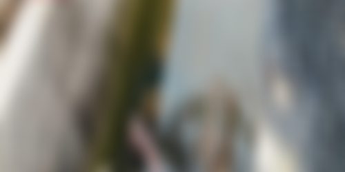 ତାରାତାରିଣୀ ଛକ ଶିବ ମନ୍ଦିର ପାଖ ଡ୍ରେନରେ ପଡି ଜଣେ ବ୍ୟକ୍ତି ମୃତ |