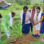 Read more about the article ରଥ ଯାତ୍ରା ରେ ସାଂସଦ ଙ୍କ ବଡ ରାଉଳ ମନ୍ଦିର ପାର୍ଶ୍ୱ ରେ ବୃକ୍ଷ ରୋପଣ