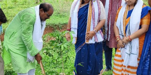 ରଥ ଯାତ୍ରା ରେ ସାଂସଦ ଙ୍କ ବଡ ରାଉଳ ମନ୍ଦିର ପାର୍ଶ୍ୱ ରେ ବୃକ୍ଷ ରୋପଣ