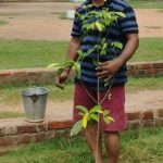 Read more about the article ବୃକ୍ଷ ରୋପଣ କରି ପରିବେଶ ସୁରକ୍ଷାର ବାର୍ତା ବାଣ୍ଟିଲେ ସମାଜସେବୀ ।