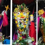 Read more about the article ଖଲ୍ଲିକୋଟରେ ହରିଶୟନ ଏକାଦଶୀ ଓ ସୁନାବେଶ ପାଳିତ