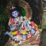 Read more about the article ପୁରୁଷୋତ୍ତମପୁରସୁନାରି ତୋଟା ସାହି ରେ ଜନ୍ମାଷ୍ଟମୀ ରେ ପୁଜା ହୋଇଥିବା ବାଲ ଗୋପାଳଙ୍କ ଆଜି ବିସର୍ଜନ