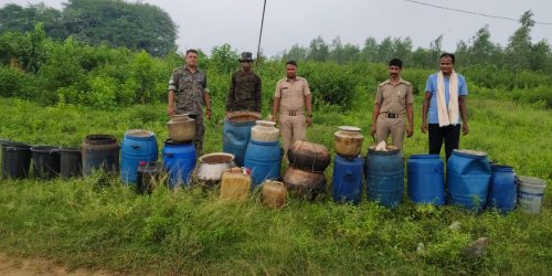 ଅମ୍ବାଦଳା ପୋଲିସର ଚଢାଉ,ମହୁଲ ପୋଚ ଓ ଦେଶୀ ରନ୍ଧାମଦ ଜବତ।