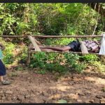 Read more about the article ରାସ୍ତା ପାଲଟିଛି ସମସ୍ୟା: ଖଟିଆରେ ବୁହାହେଲେ ୫ ରୁ ଊର୍ଦ୍ଧ୍ବ ରୋଗୀ: ଅଖାଦ୍ୟ ଖାଇ ୧୫ରୁ ଊର୍ଦ୍ଧ୍ବ ଆକ୍ରାନ୍ତ , ୨ ଦିନରେ ୩ ମୃତ