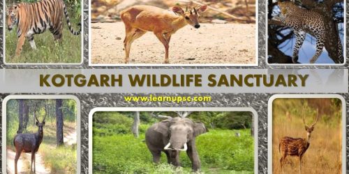 କୋଟଗଡ ବନାଞ୍ଚଳରେ ବାଘ ଆତଙ୍କ: ଲୋକେ ଭୟଭିତ