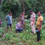 Read more about the article ରତ୍ନେଇ ପାହାଡ଼ ରେ ବାଘ ଆତଙ୍କ ଲୋକେ ଭୟଭୀତ