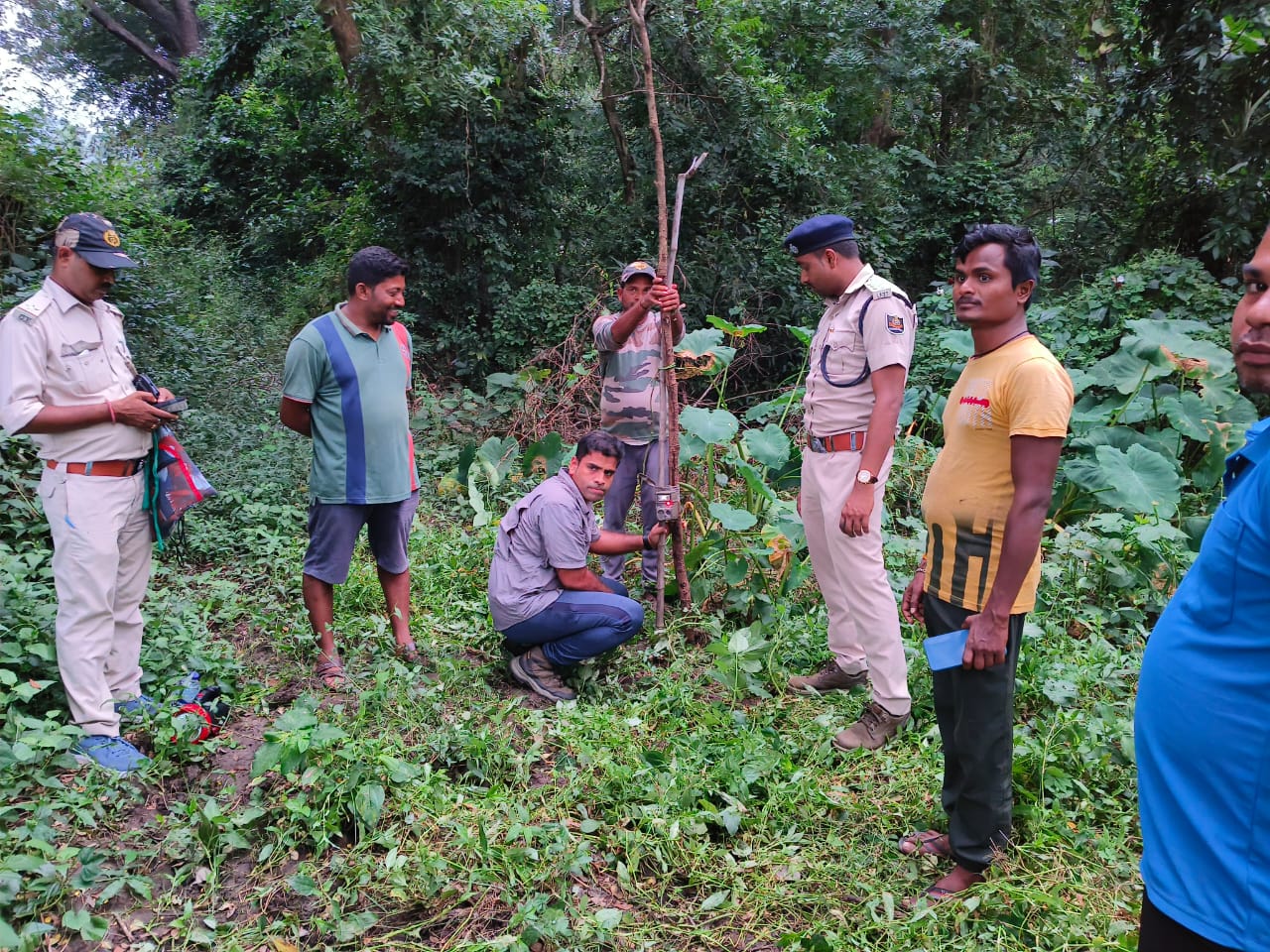 You are currently viewing ରତ୍ନେଇ ପାହାଡ଼ ରେ ବାଘ ଆତଙ୍କ ଲୋକେ ଭୟଭୀତ