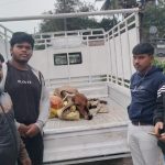 Read more about the article ଶ୍ରୀ ଜଗନ୍ନାଥ ଟ୍ରଷ୍ଟ ପକ୍ଷରୁ ଗୋ ମାତାଙ୍କ ସେବାକାର୍ଯ୍ୟ