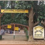 Read more about the article ଦାରିଙ୍ଗବାଡିରେ ଆରମ୍ଭ ହେଲା କଫି ସଂଗ୍ରହ: ବାଲିଗୁଡା ଆଇଟିଡିଏ କୁ ଦିଆଗଲା ଦାୟିତ୍ୱ