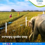 Read more about the article TPSODL Strengthens Efforts to Protect Wildlife