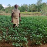 Read more about the article ଖଲ୍ଲିକୋଟ ବ୍ଲକ ରେ ଆଳୁ ଚାଷ ପାଇଁ ଚାଷୀ ଙ୍କ ମହଲରେ ବଢୁଛି ଆଗ୍ରହ ,