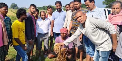ଲଗାଣ ବର୍ଷା ରେ ଖେୟ ଖେତୀ ହୋଇଥିବା ଚାଷି ଙ୍କ ବିଭିନ୍ନ ପଞ୍ଚାୟତପରିଦଶନ କଲେ ବି ଡି ଓ