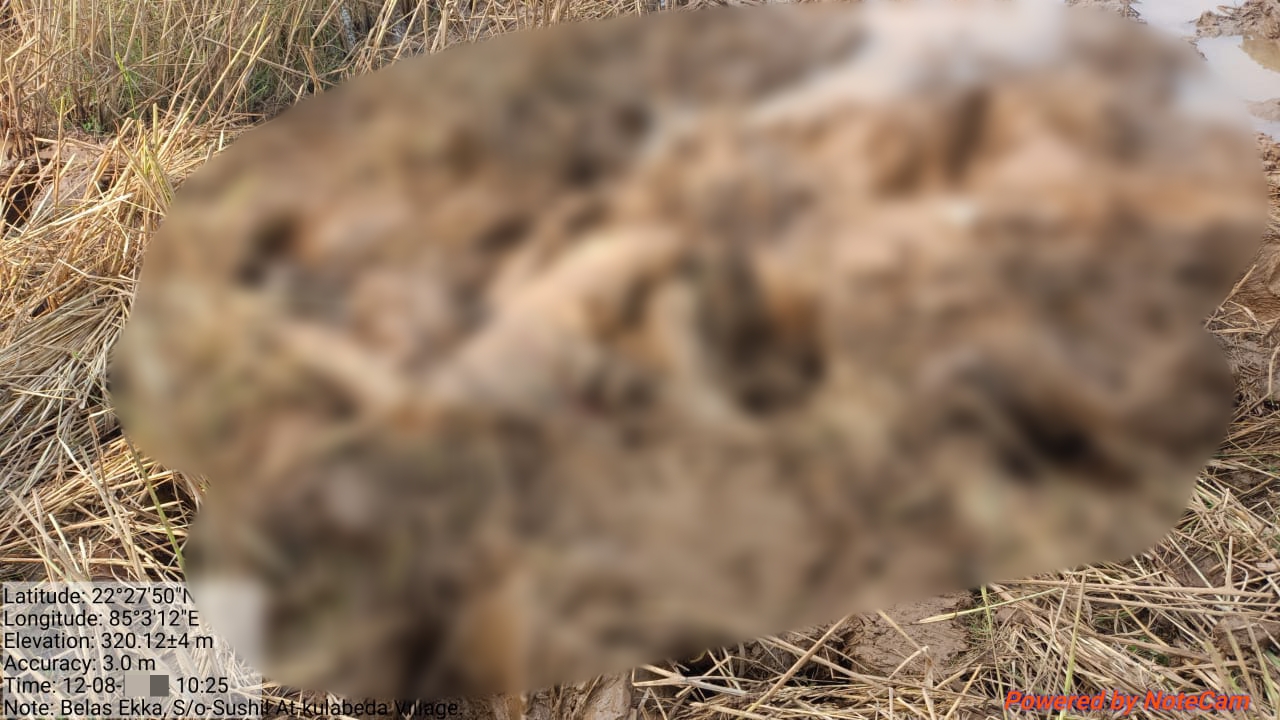 You are currently viewing ପୁନଶ୍ଚ ସୀମାନ୍ତରେ ମାତିଲେ ଝାରଖଣ୍ଡି ହାତୀପଲ