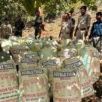 Read more about the article କନ୍ଧମାଳ ଜିଲ୍ଲାର ବିଭିନ୍ନ ଥାନା ଅଞ୍ଚଳରେ ଏକକାଳୀନ ଚଢ଼ାଉ; ବିପୁଳ ପରିମାଣର ଗଞ୍ଜେଇ ଜବତ: ଜଣେ ଗିରଫ