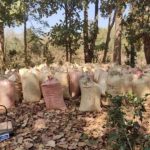 Read more about the article ବିଭିନ୍ନ ଥାନା ଅଞ୍ଚଳରୁ ବିପୁଳ ପରିମାଣର ଗଞ୍ଜେଇ ଜବତ: ଗଞ୍ଜେଇ ଚାଷର ସଂପୂର୍ଣ୍ଣ ମୂଳୋତ୍ପାଟନ ପାଇଁ ନିର୍ଦେଶ