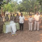 Read more about the article ପୋଲିସ ପାଟ୍ରୋଲିଂ ବେଳେ ୧୪ ବସ୍ତା ଗଞ୍ଜେଇ ଜବତ: ମାଫିଆ ଚମ୍ପଟ