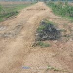 Read more about the article ବେହେଡା ପଞ୍ଚାୟତର ଲିମାଗୁଡା, କୁମିବନ୍ଦ (କୁମିବେଡା)ଓ ସିଉନାଗୁଡ଼ା ଗ୍ରାମର ରାସ୍ତା ପାଲଟିଛି ମରନ ଯନ୍ତା