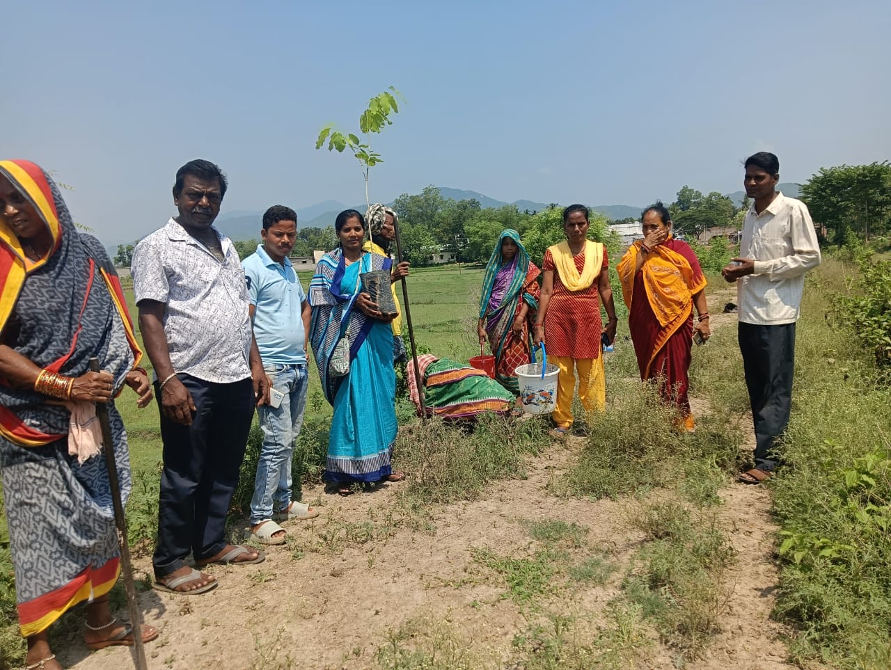 You are currently viewing ବିଶ୍ଵ ପରିବେଶ ଦିବସ ଅବସରରେ ବୃକ୍ଷ ରୋପଣ ମା ପାଇଁ ଗଛଟିଏ