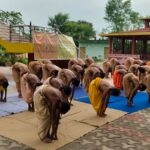 Read more about the article श्री रामचन्द्र वेदपाठशाला में योग शिविर अनुष्ठित हुआ