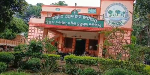 ପଦାରେ ପଡିଲା କାଠ ମାଫିଆ ଙ୍କ ସହ ବନାଞ୍ଚଳ ଅଧିକାରୀ ଙ୍କ ମଧୁଚନ୍ଦ୍ରିକା !