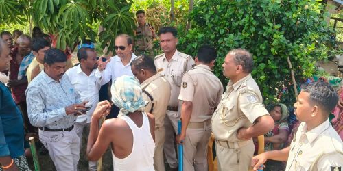 ଚାଷ ଜମିକୁ ନେଇ ତୁଟୁନି ବିବାଦ।ଧାନ ବିରି ଫସଲରେ ଗୋରୁପଲ ଚରାଇଲେ ସାମନ୍ତରାପୁର ଗ୍ରାମବାସୀ ,