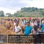 Read more about the article ଲାଞ୍ଜିବେର୍ଣା ରେ ଗ୍ରାମ ବାସୀଙ୍କ ତୀବ୍ର ବିରୋଧ ଧାନ ଚାଷ ମଧ୍ଯରେ ଜମି ଅଧୂଗ୍ରହଣ ପ୍ରକ୍ରିୟା,