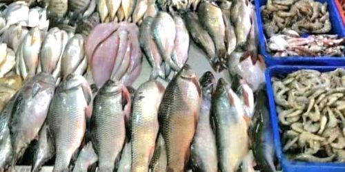 ଏଥର ମାଡ୍ ଖାଇବ ଛାଡଖାଇ