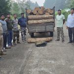 Read more about the article ଶାଗୁଆନ କାଠ ବୋଝଇ ପିକଅପ ଭେନ ଜବତ