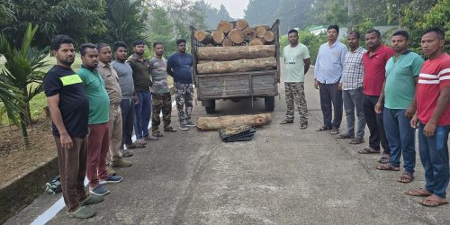 ଶାଗୁଆନ କାଠ ବୋଝଇ ପିକଅପ ଭେନ ଜବତ