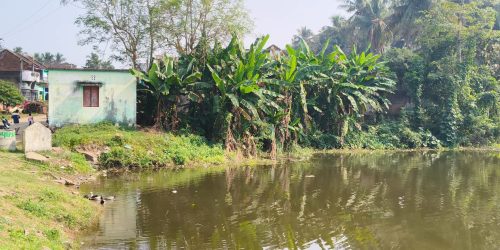 ପୋଖରୀ ରୁ ନବଜାତ ଶିଶୁର ମୃତ ଦେହ ଉଦ୍ଧାର .
