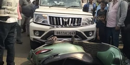 ବଡଦାଣ୍ଡରେ ବଡ ଦୁର୍ଘଟଣାନାବାଳକ ମୃତ ଦୁଇ ଆହତଉତ୍ଯକ୍ତ ଜନତା ଟାୟାର ଜାଳି ରାସ୍ତାରୋକ