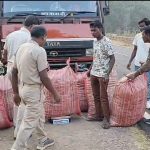 Read more about the article ବାଲିଗୁଡାରୁ ପଶ୍ଚିମବଙ୍ଗ ପଇଡ଼ ବୋଝେଇ ଟ୍ରକ ଭିତରେ ଗଞ୍ଜେଇ ଚାଲାଣ : ଡ୍ରାଇଭର ଓ ଚାଲାଣକାରୀ ଚମ୍ପଟ