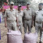 Read more about the article ପୋଲିସ ପାଟ୍ରୋଲିଂ ବେଳେ ଗଞ୍ଜେଇ ଜବତ: ମାଫିଆ ଫେରାର