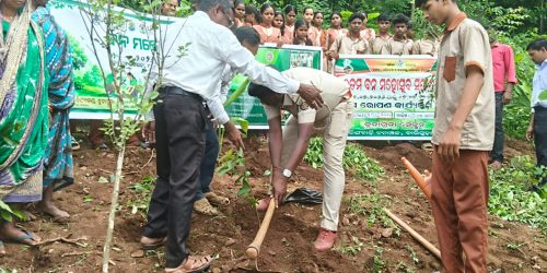 ବୁଡ଼ାଗୁଡା ଉଚ୍ଚ ବିଦ୍ୟାଳୟ ରେ ବନ ମହୋତ୍ସବ ପାଳନ