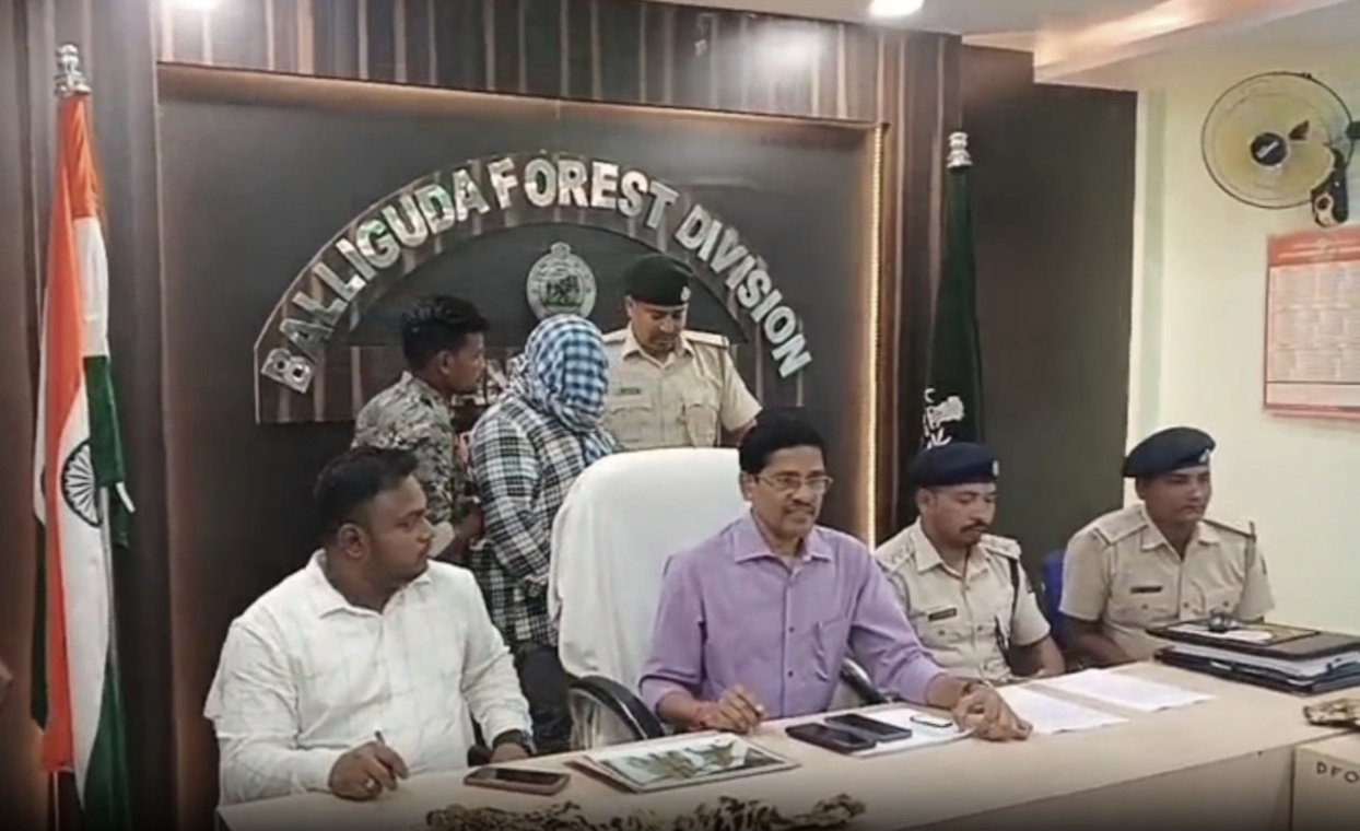 You are currently viewing କଲରାପତରିଆ ବାଘ ଛାଲ ବିକ୍ରି ଯୋଜନା ପଣ୍ଡ : ଜଣେ ଗିରଫ: ୨ଟି କଲରାପତରିଆ ଛାଲ ଜବତ, ଚାଲାଣ ଚେର ଖୋଜୁଛି ବନ ବିଭାଗ